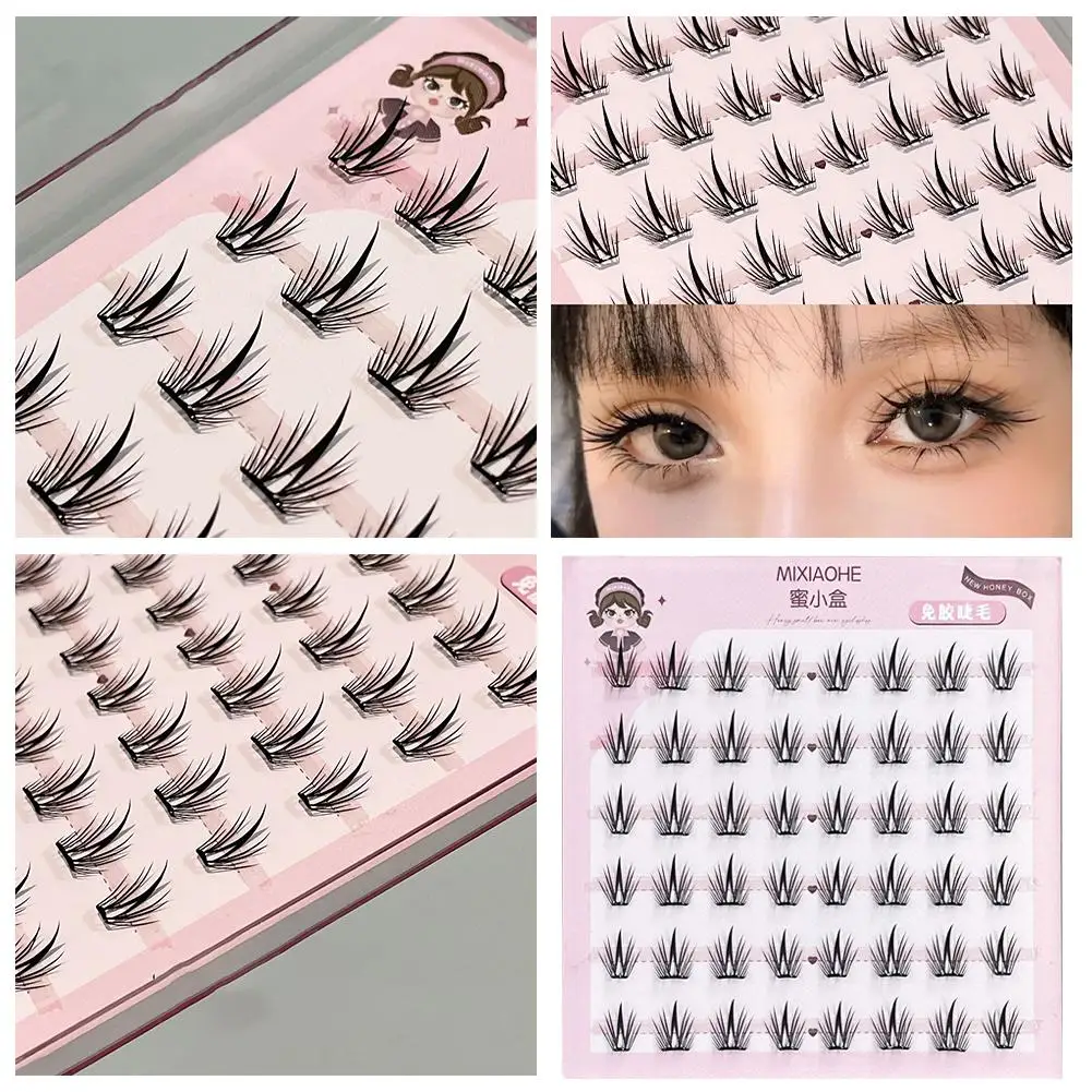 

Eyelashes Natural Eyelash extension Cluster Natural Tray Cluster Look Mixed Lashes Lashes Individual Lashes F6K0