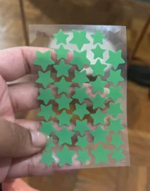 Customer review photo