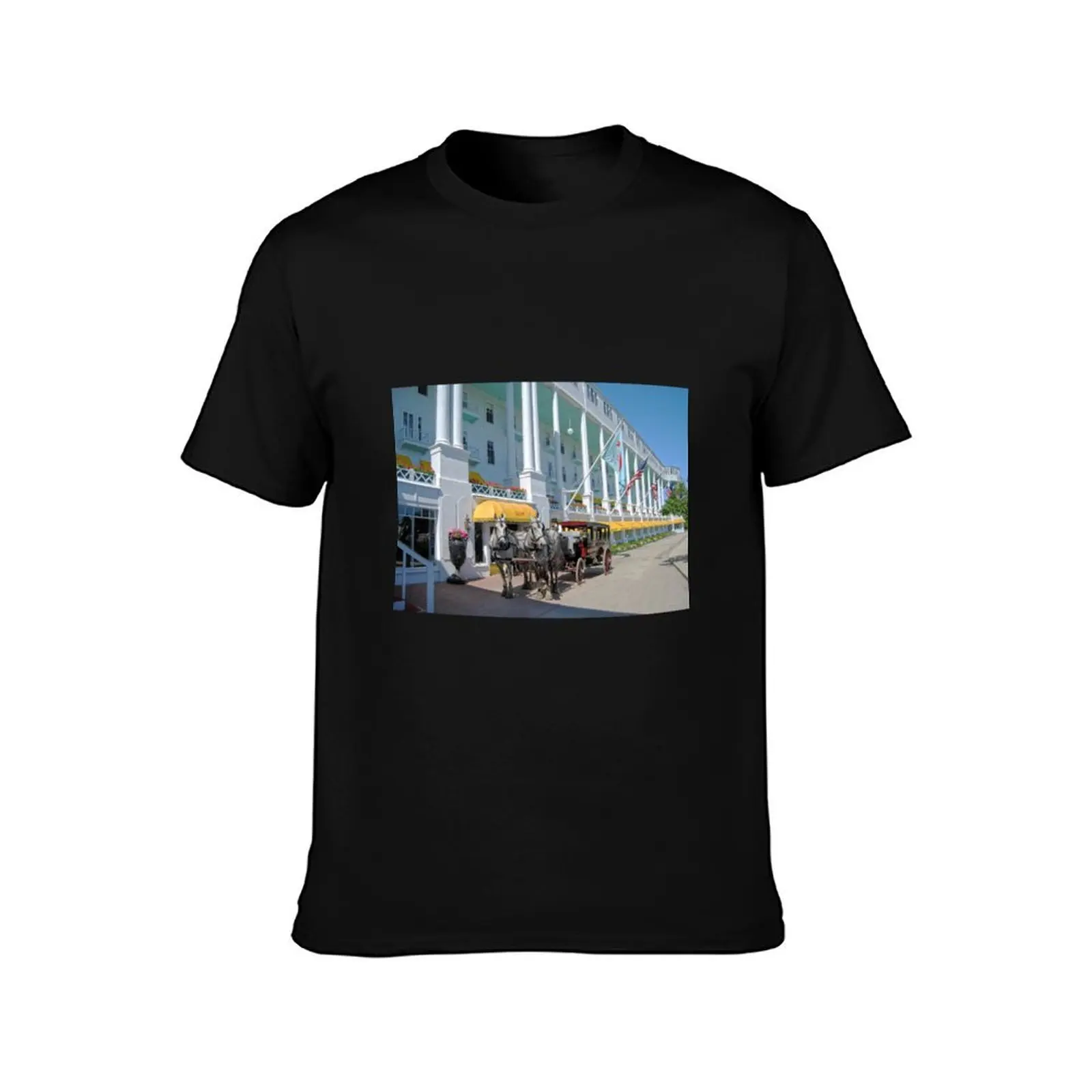 Carriage at the Grand Hotel, Mackinac Island, Michigan T-Shirt All Match Basic Short Sleeve Top T-Shirt