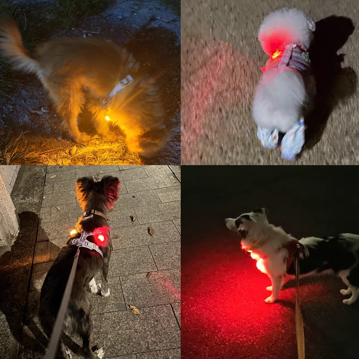 

1 Pc LED light-up Dog Collar Nighttime Dog Walking Light Pendant Nighttime Safety Decoration Waterproof Anti-straying Collar