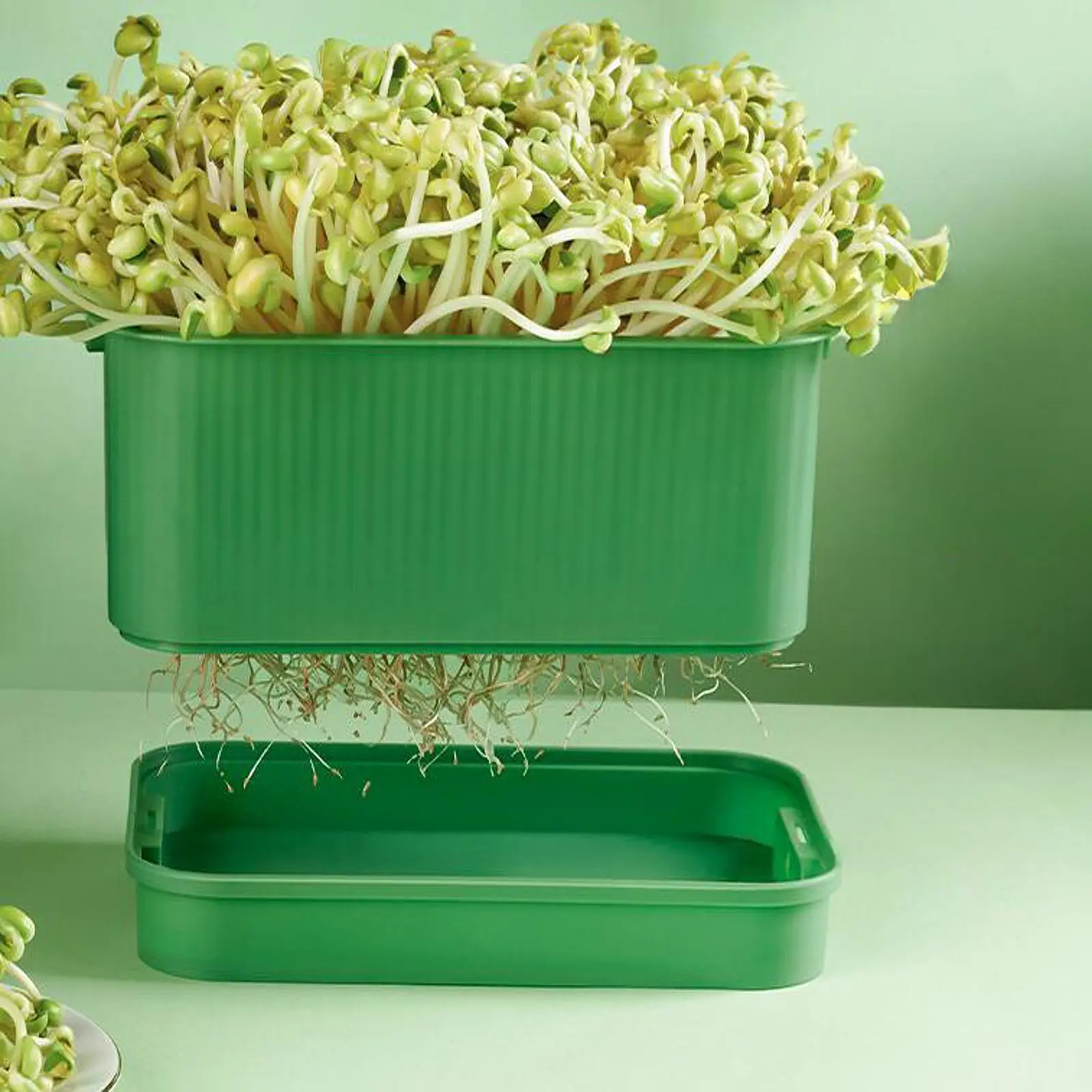 2x Seed Sprouts Trays Multifunctional Mini Greenhouse Germination Kits