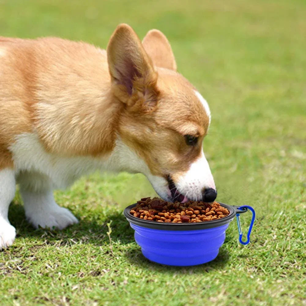 Tigela dobrável de silicone para cão e gato, 1000ml, mosquetão, tigela de viagem, comida e água, acessórios para animais