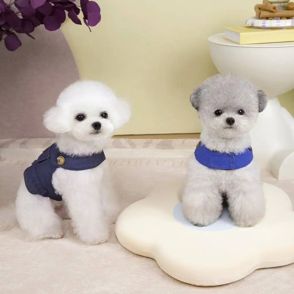 Adjustable Dog Cowboy Clothes Soft Breathable Dog Vest with Traction Rope Easy On and Off Puppy Harness Spring/Summer Season