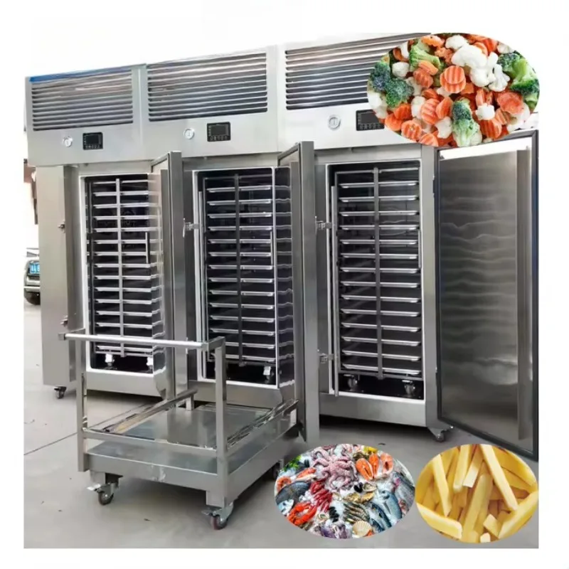 Fast Freezer Newly designed seafood blast freezer