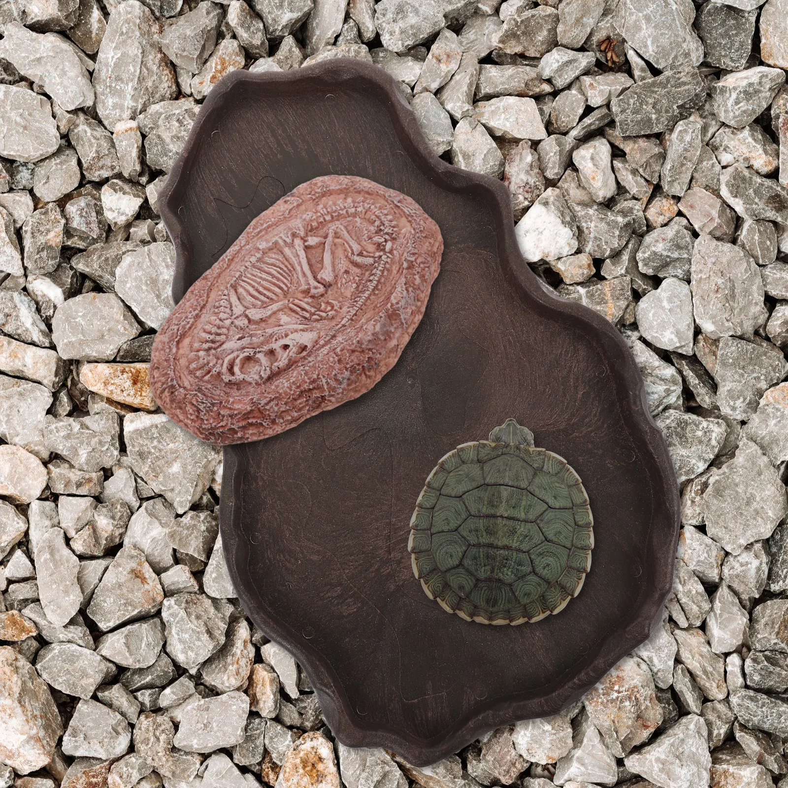 

1Pc Trilobite Decor Resin Dinosaur Specimen Stone Reptile Tank Decoration Landscape nament Teaching Props Paleontology
