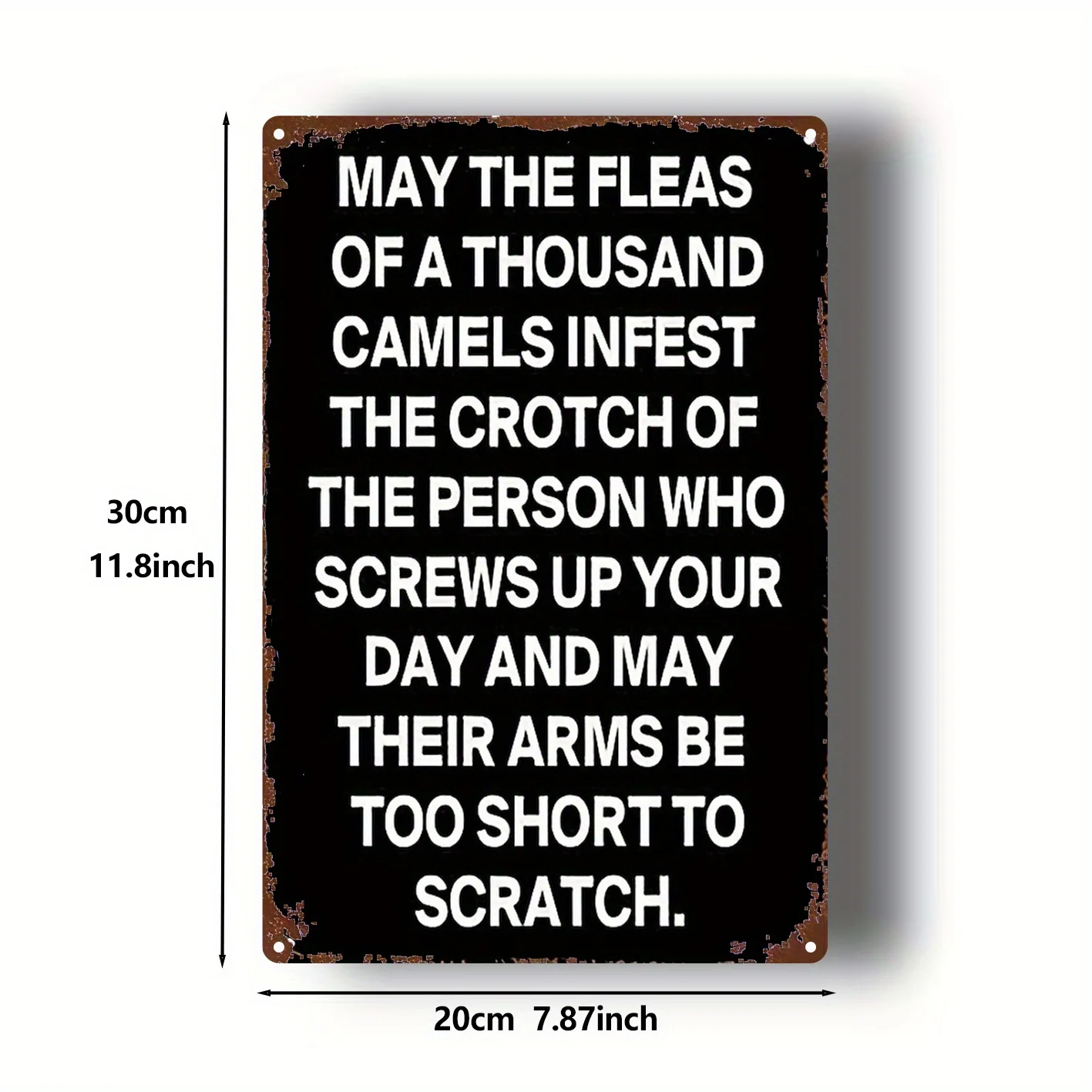 2D Flat - 2D Plane - 1 2D Plane Camel Curse Metal Wall Decor | Vintage Farmhouse Sign with 