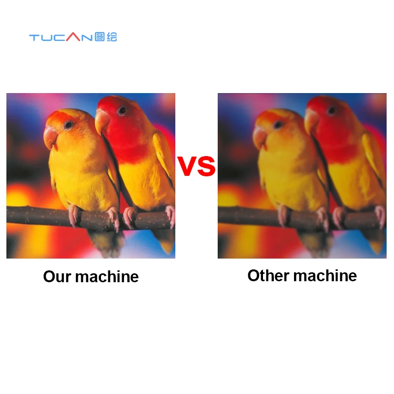 المزدوج رئيس XP600/i3200 60 سنتيمتر DTF طابعة نقل الحرارة آلة طباعة تي شيرت شاكر ومجفف طابعة Dtf الطباعة الرقمية