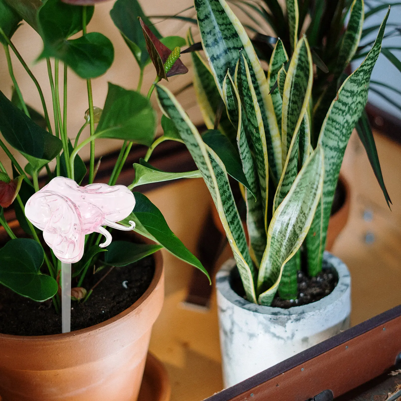 

Автоматическое устройство для полива растений из стекла, 1 шт., в форме бабочки, для комнатных и уличных растений в горшках, а также для подвесных растений.