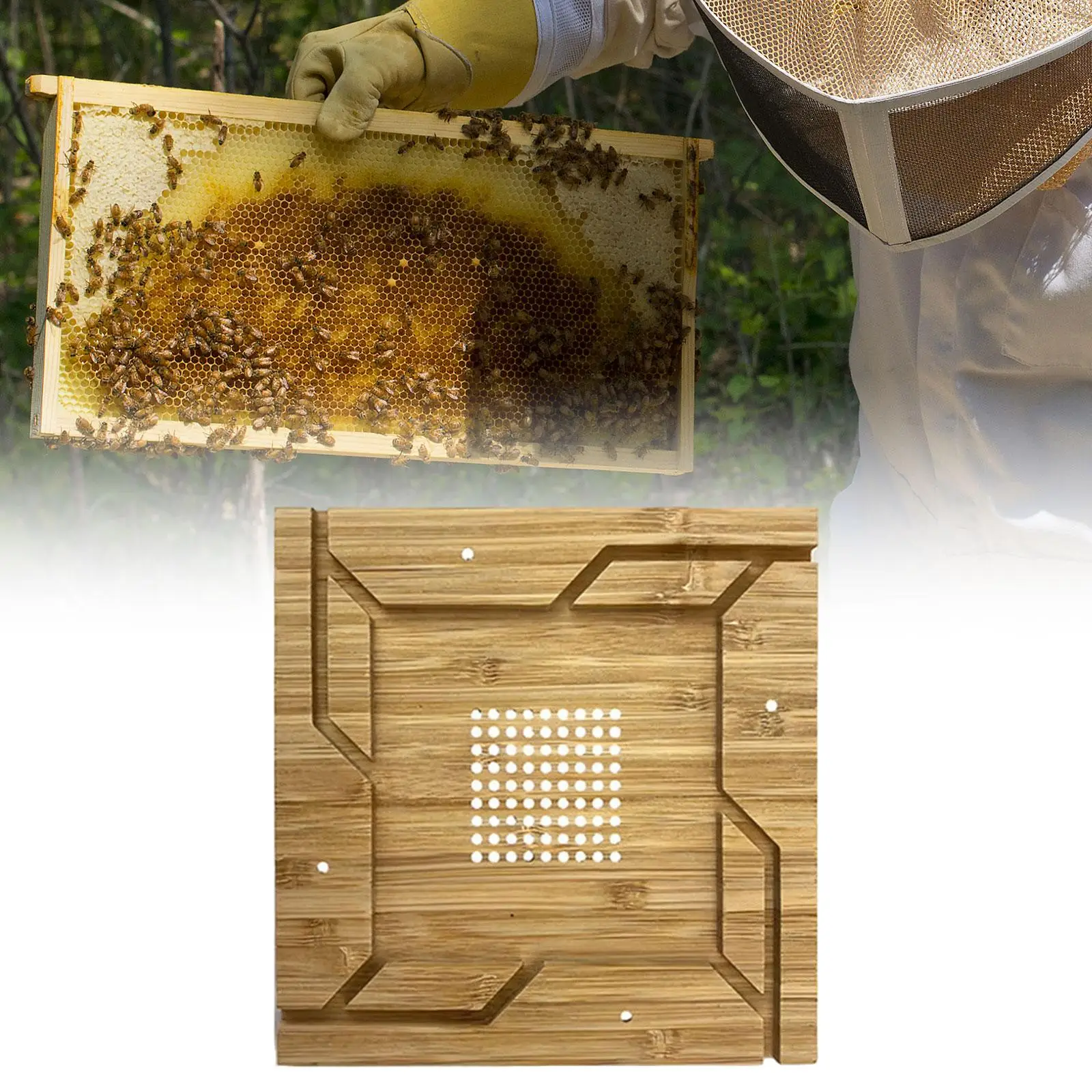 Bee Escape Board Portable Effective Bee Management Easy Installation Compact 7.87inchx7.87inch Beekeeping Tool Accessories