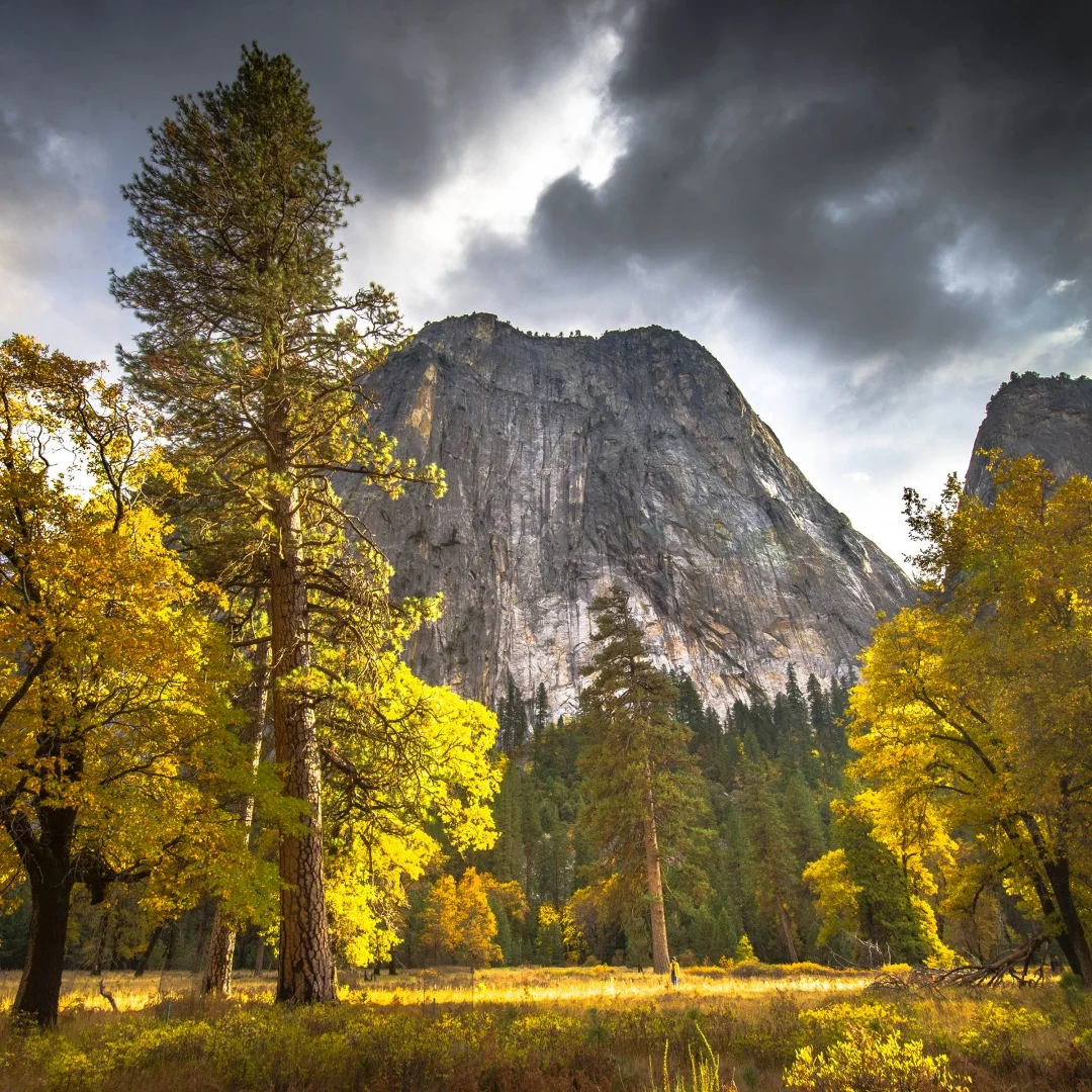 Auto Radio For Volv… - image