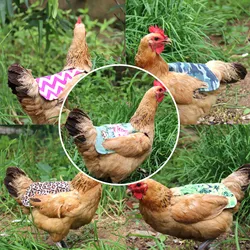 Adjustable Chicken Vest Pet Reflective Vest Chicken Clothes Poultry Hen Saddle Apron Feather Protection Holder For Chicken Duck