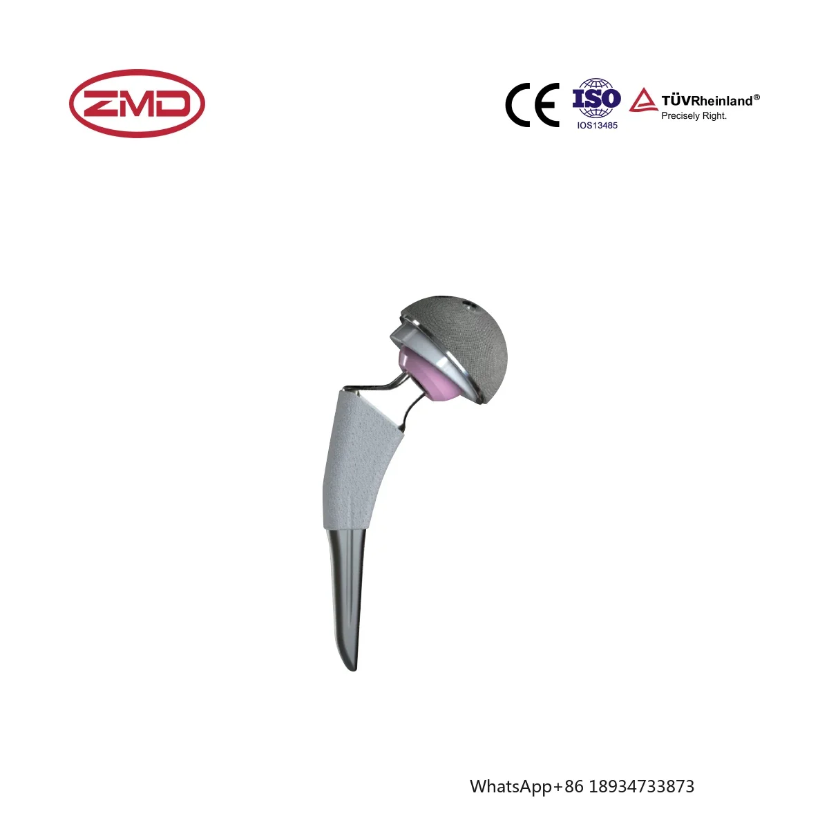 Cementless  Femoral Stem Hip Joint Prosthesis System with Screw Artificial Hip Joint Replacement