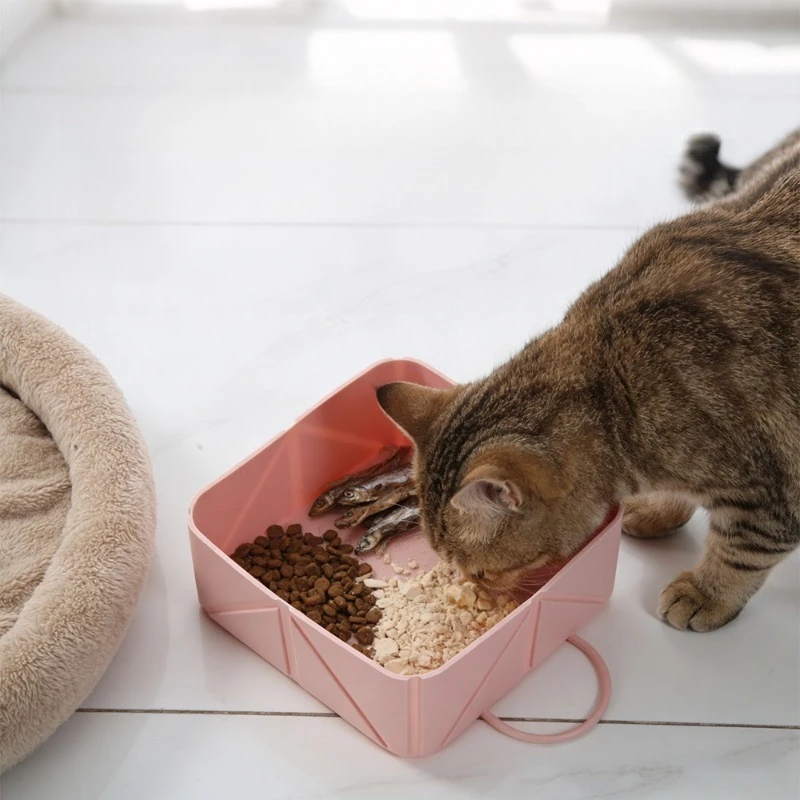 Thumbnail 2 - #29 Best Collapsible Dog Bowls to Buy In 2026