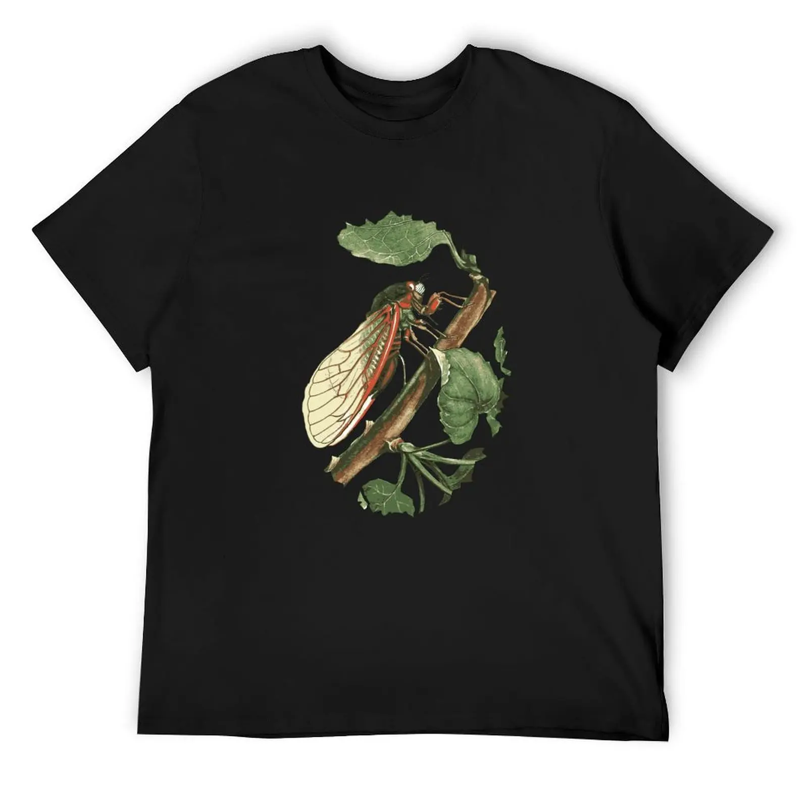 

Cicada Illustration T-Shirt Funny t-shirts sweat heavyweights affliction shirts t shirts for men