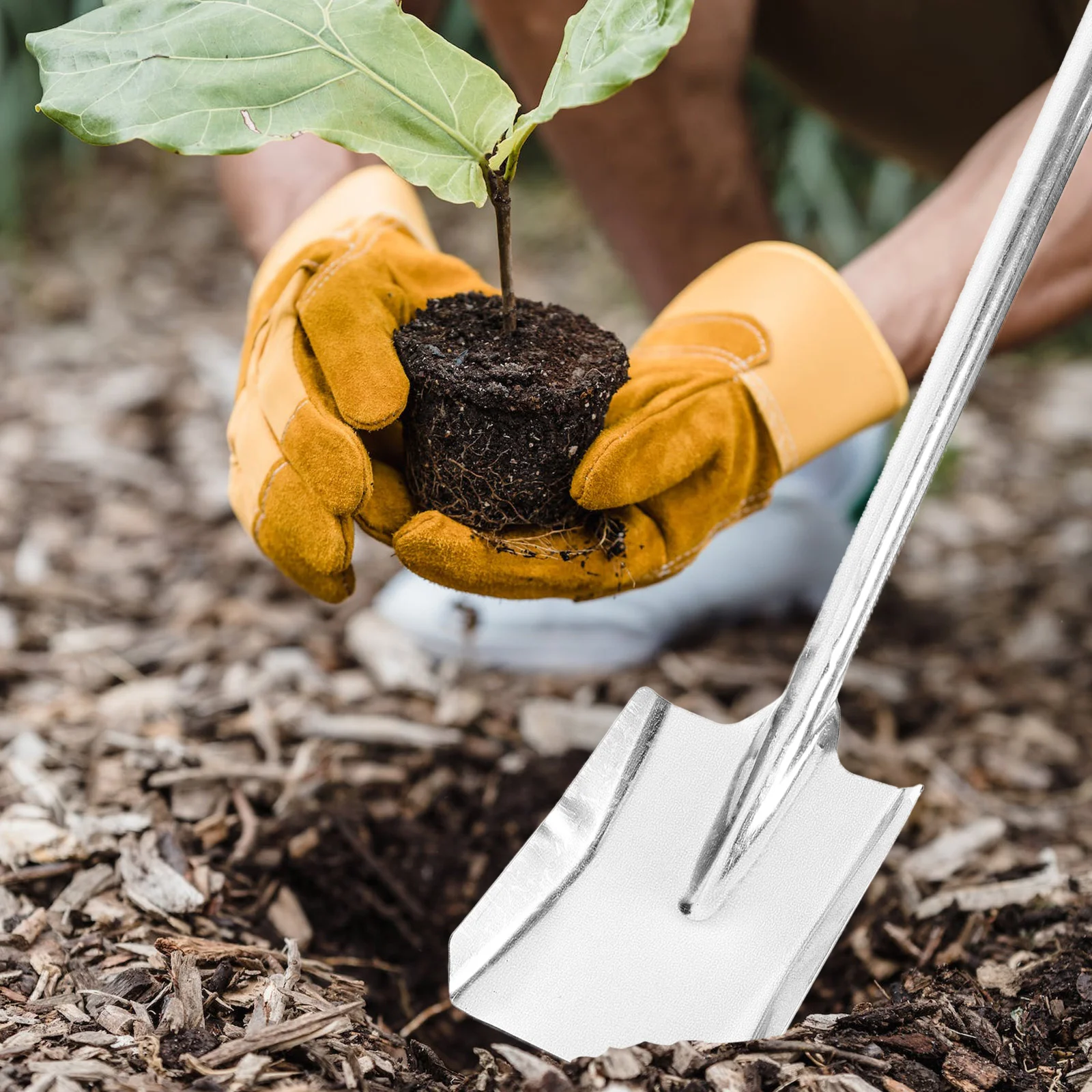 Outil de remplacement pour jardin familial, 2 pièces, pratique métal fer pour pierres agaçantes