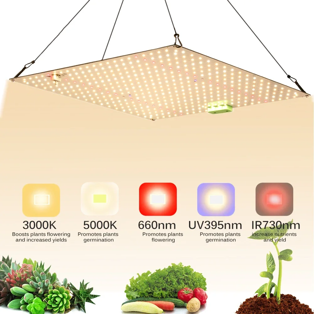 

Full Spectrum LED Grow Light 65W 120W Dimming High PPFD Sunlike Quantum Grow Lamp LM281B For Indoor Plant Flower Growth Lighting