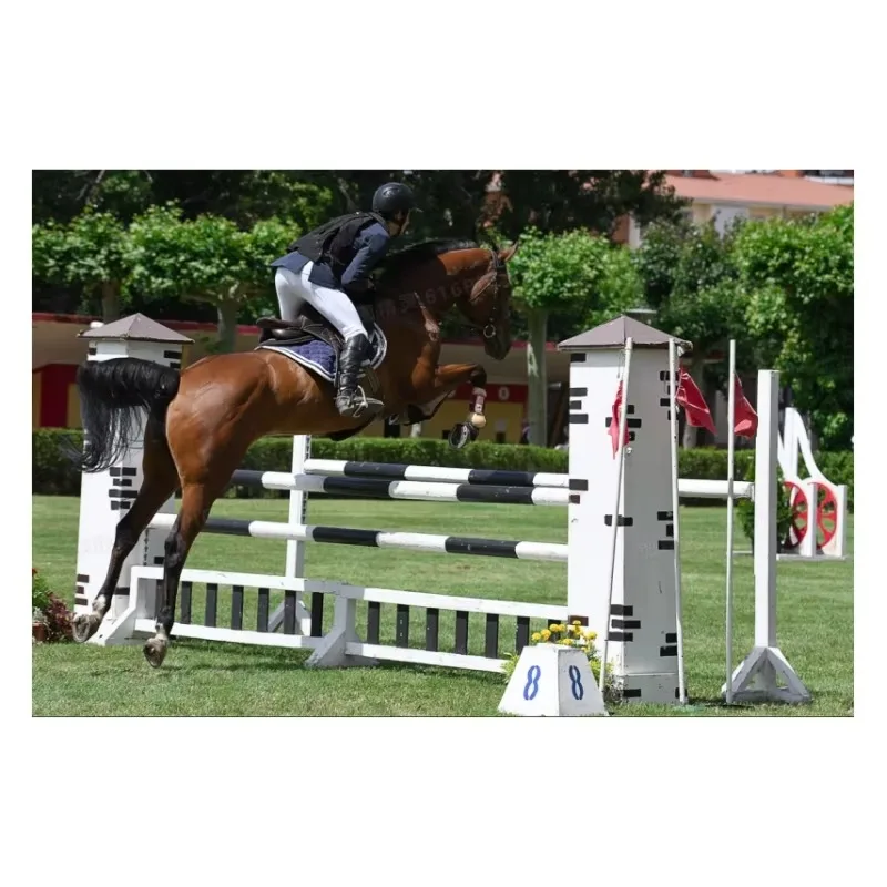 

Оптовая продажа, хорошее качество, прыжки надувных животных и прыжки на лошадях, прыжки на лошадях