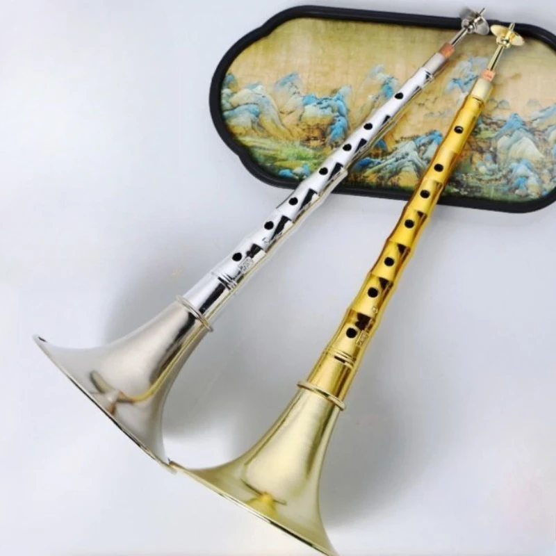 

Суона из АБС-пластика, тон D, традиционная китайская, для взрослых начинающих, профессиональный народный музыкальный инструмент с громким звучанием