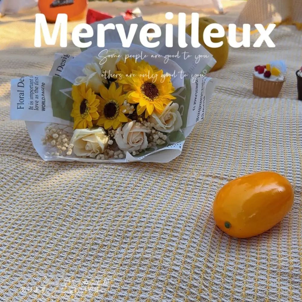 جديد 90*90 سنتيمتر/90*150 سنتيمتر/90*180 سنتيمتر الفرنسية سجادة للرحلات مع حزام تخزين الأبيض مقاوم للرطوبة حصيرة الشاطئ حصيرة خيمة