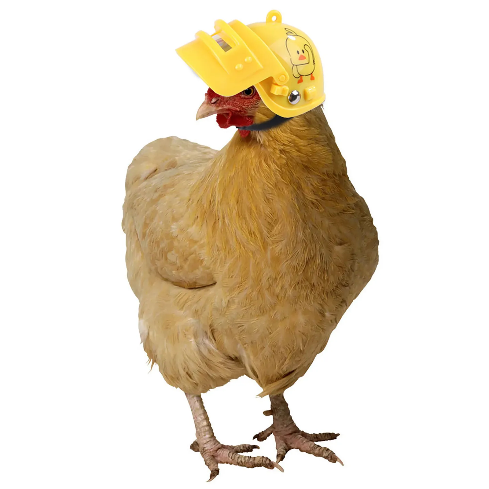 Pet Poultry Bird Helmet Cap Pet Chicken Helmet Small Duck Headgear Hat Caps Head Protector Pet Supplies Costumes