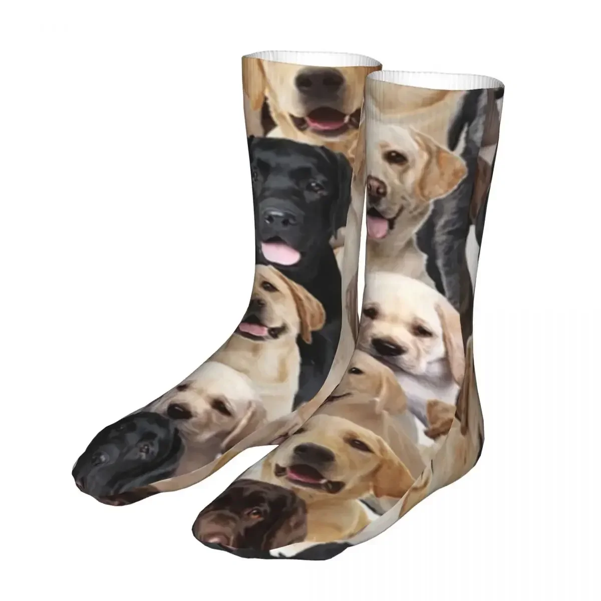 Labrador Cute Dog Socks Men Women Polyester Fashion Merry Christmas  Novelty Spring Summer Autumn Winter  Gift