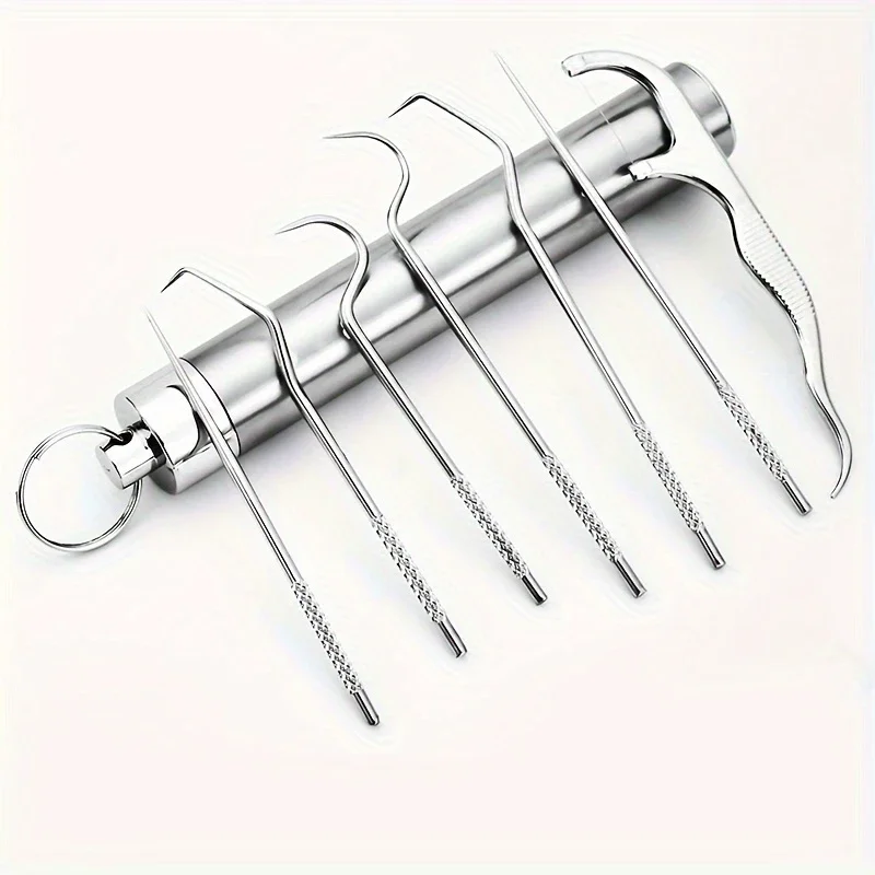 1set Stainless Steel Toothpick Set Tooth Flossing Reusable Toothpicks Portable Toothpick Floss Teeth Cleaner Oral Cleaning Tools