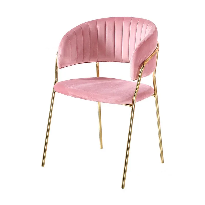 Nordic Living Room Kitchen Balcony Dining Chairs Fitting Room Clothing Store Back Armchair Bedroom Dormitory pink Makeup Chair Z