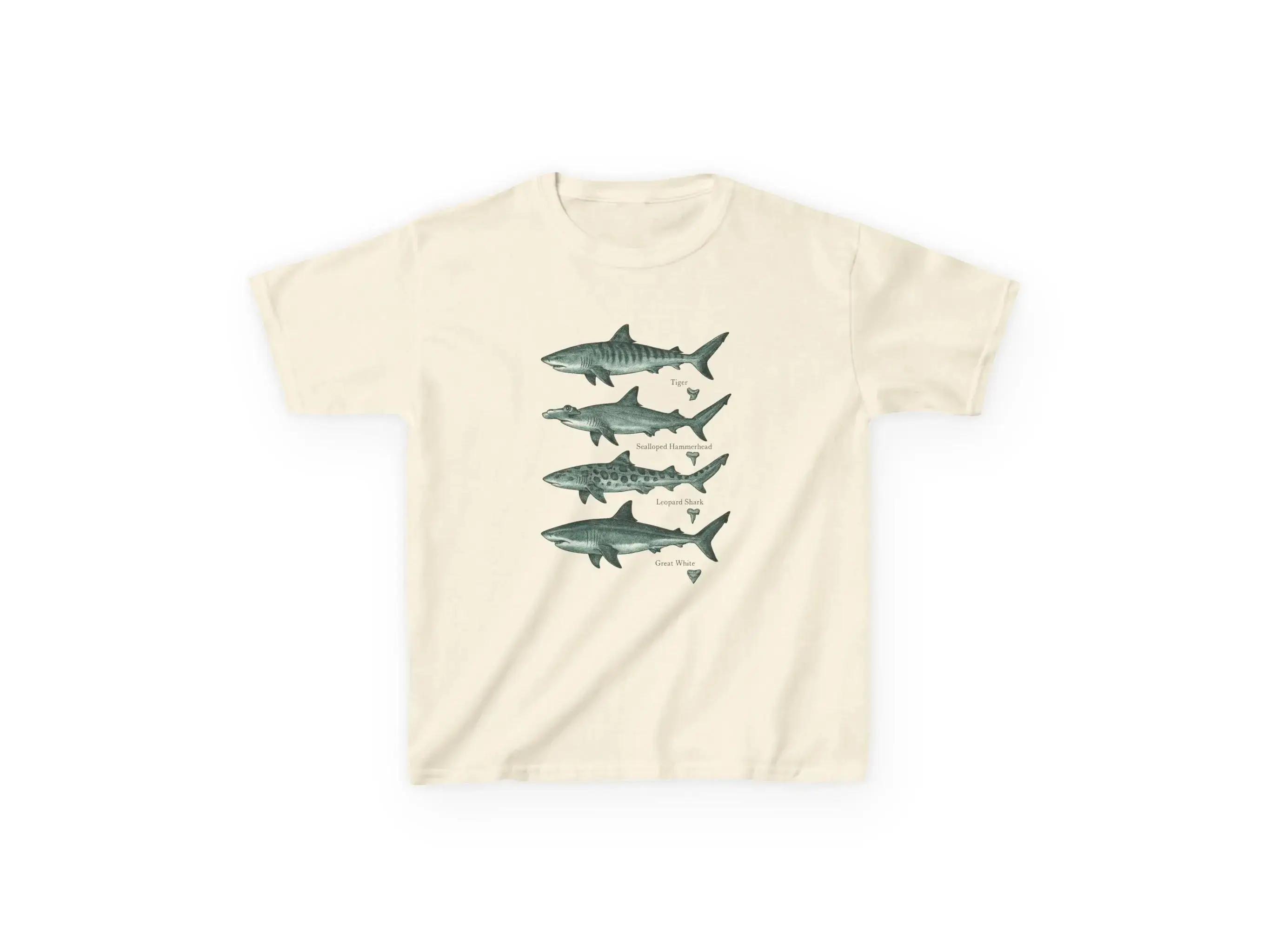 Vintage Style Marine Biology T-Shirt Shark Species T-Shirt Featuring Natural Tiger Shark Hammerhead Shark and Leopard Shark Tees