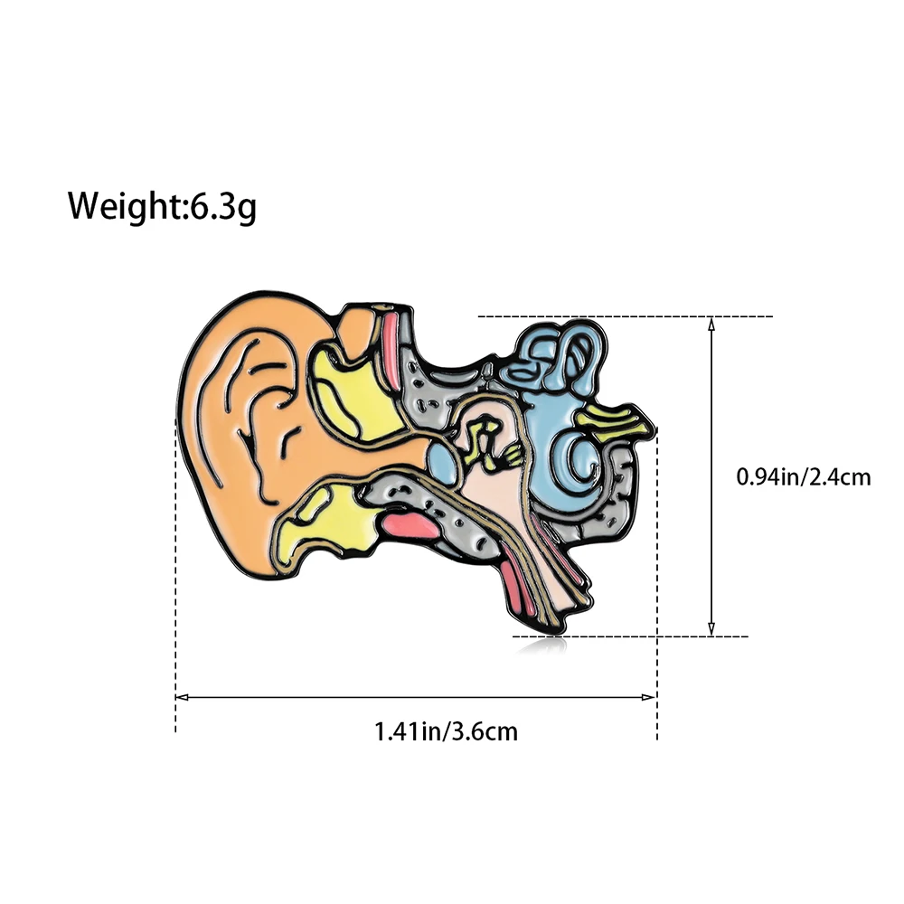 DCARZZ Medical Cochlear Anatomy Enamel Brooch Pin Ear Model Badge Biology Jewelry for Doctor Nurse Medicine Student