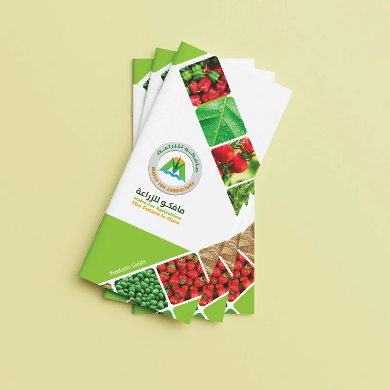 custom Custom Premium Coated Paper Logo Printing Folding Flyer Catalogue Pamphlet Brochure Booklet Instruction Manual Leaflet Pr