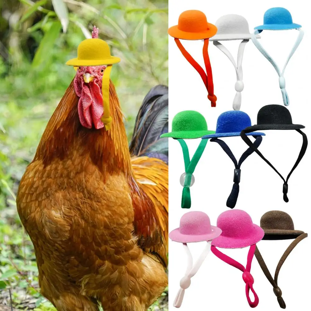 

Chicken Hat For Hens Tiny Solid Color Adjustable String Cute Round Shape Anti-falling Hamster Cap Funny Chicken Accessories