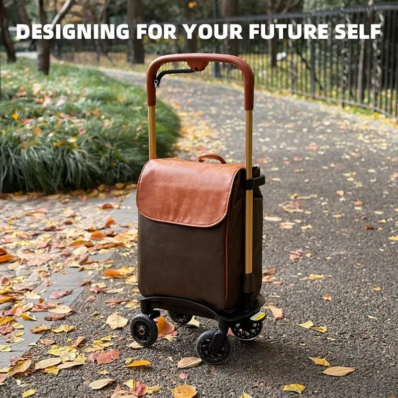 Portable Shopping Trolley for Elderly, One-Hand Brake Rolling Cart, Telescopic Travel Hand Truck, Large Capacity Outdoor Wagon