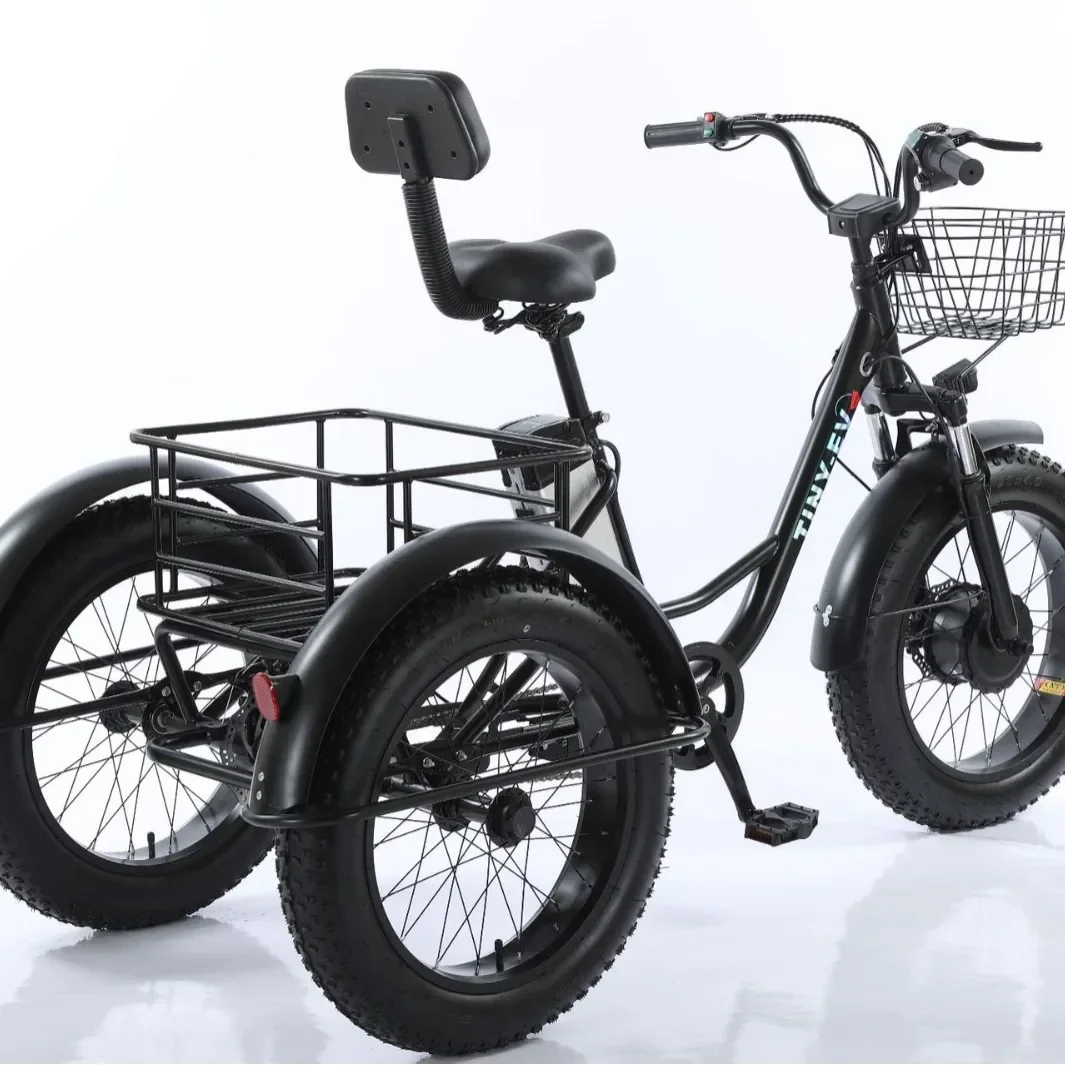 500W48V20Ah Adult Detachable Lithium Battery 20 Inch Off-Road 3 Wheel E-Trike Long Range 50KM Mountain Snow Cargo Electric Bike