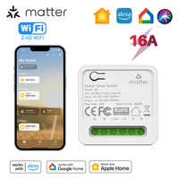 Matter Smart Switch 16A Mini WiFi Relay Module Home Automation DIY Wireless Light Switch Works with Homekit Alexa Google Home