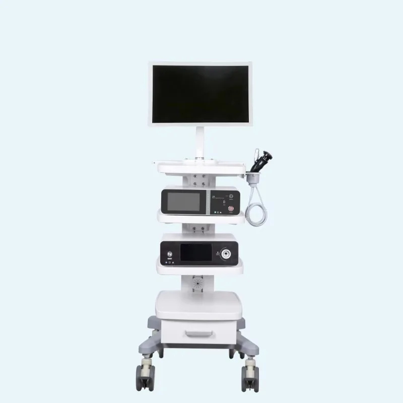 Pet hospital 24 inch high definition veterinary endoscope imaging system for animal diagnosis