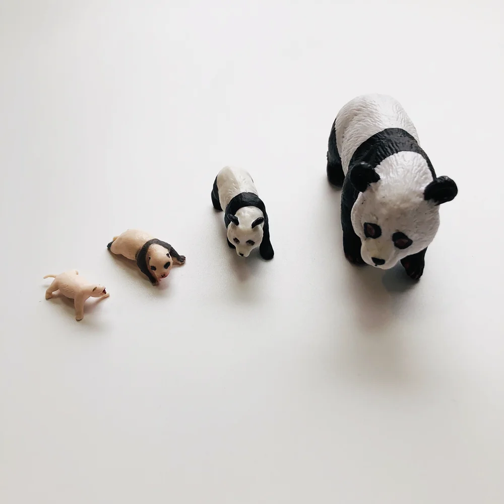 Materiais de biologia montessori, ciclo de vida do panda com cartões cognitivos, brinquedos de aprendizagem precoce, auxiliares de ensino pré-escolar, jogo educacional