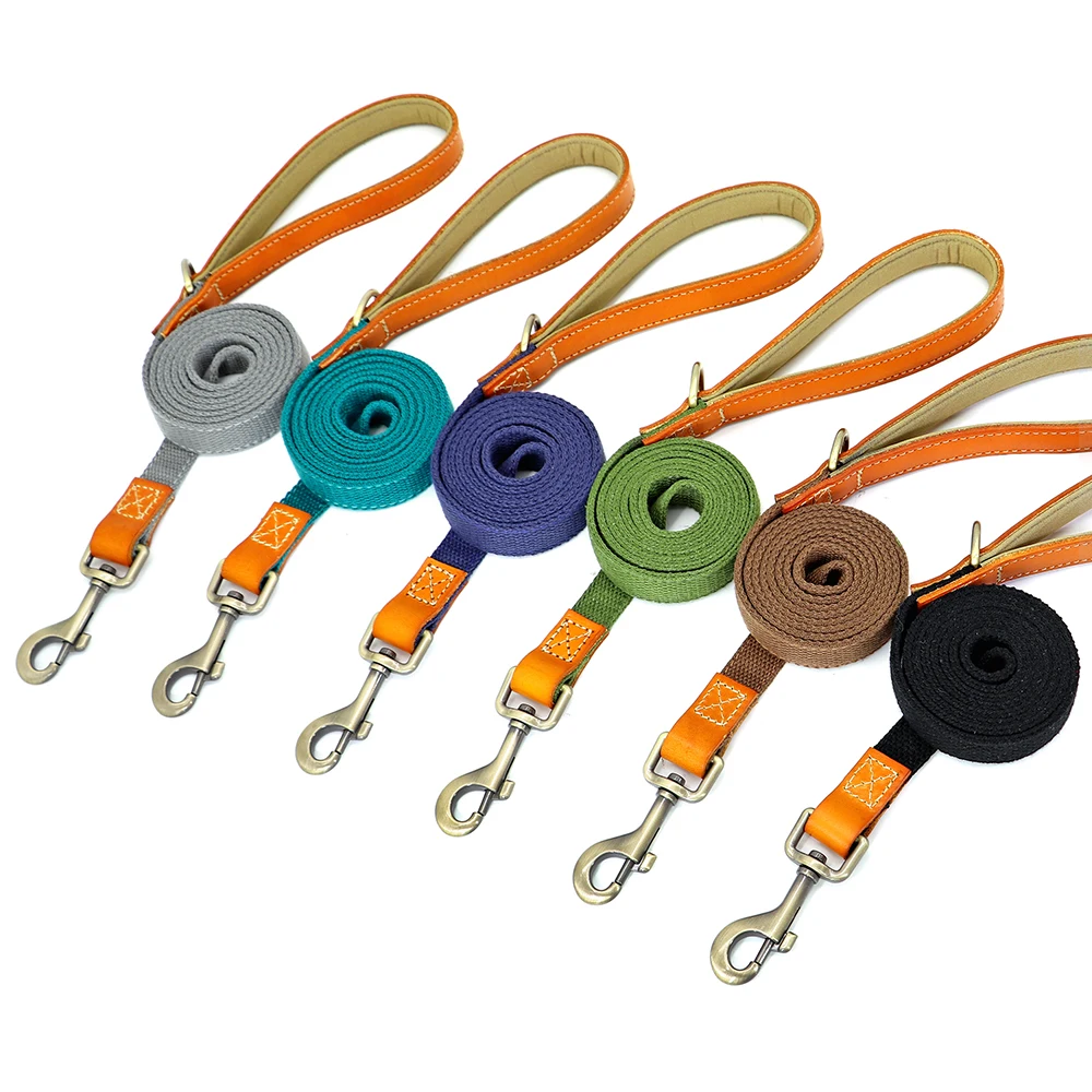 5ft Heavy Duty Nylon Dog Walking Leash, Durable Comfort Leather Handle Pet Training Lead, Anti-Pull Metal Clasp Walking Leashes