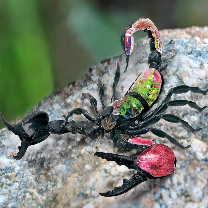 

4D зрение анатомическая модель скорпиона биологический орган животного анатомическая модель головоломка образовательный инструмент