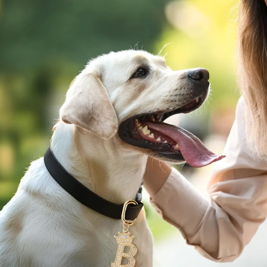 Dog Pet ID Tag Letter Shapes Dog Collar Charm me Tags Pet Persolized Dog Tag with Bling Rhinestones for Most Anti Lost Collar f