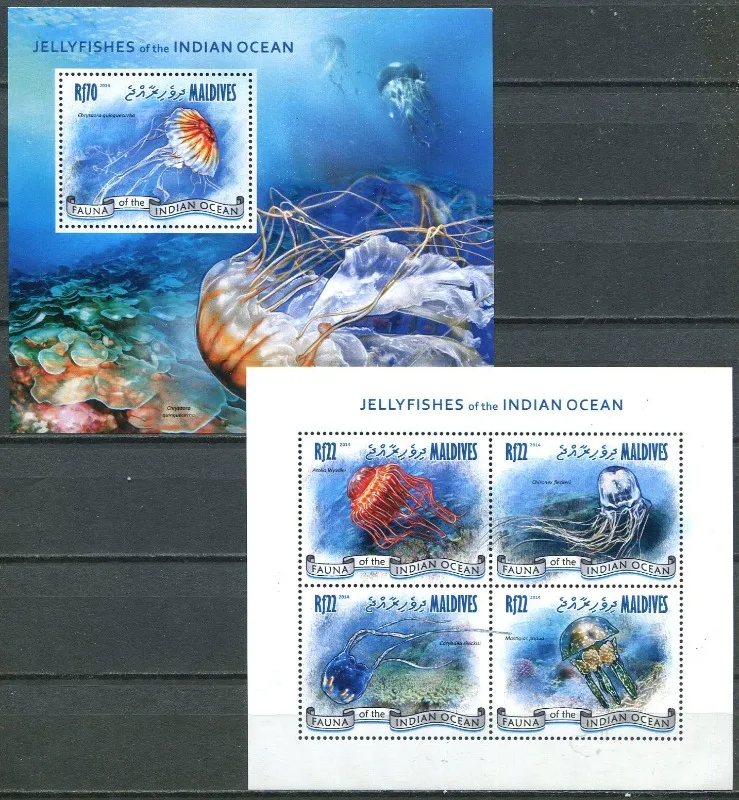 2 PCS, Maldives, Marine Creatures, Jellyfish, Real Original Post Stamps, MNH
