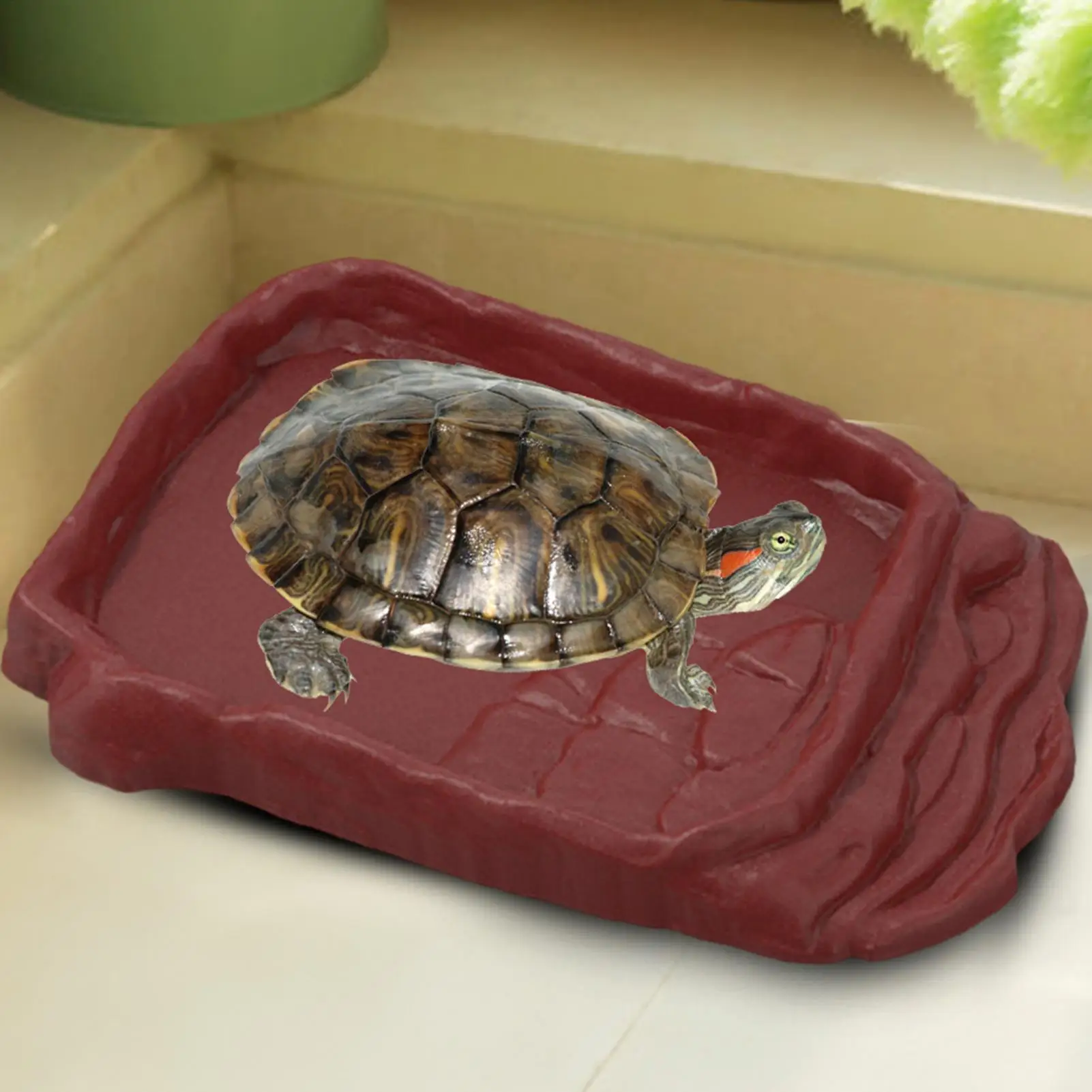 Anti-Slip Ladders Reptile Bowl Reptile Bathing Pool Tortoise Bathtub Water Dish Aquarium Ornament Tortoise Habitat Accessories