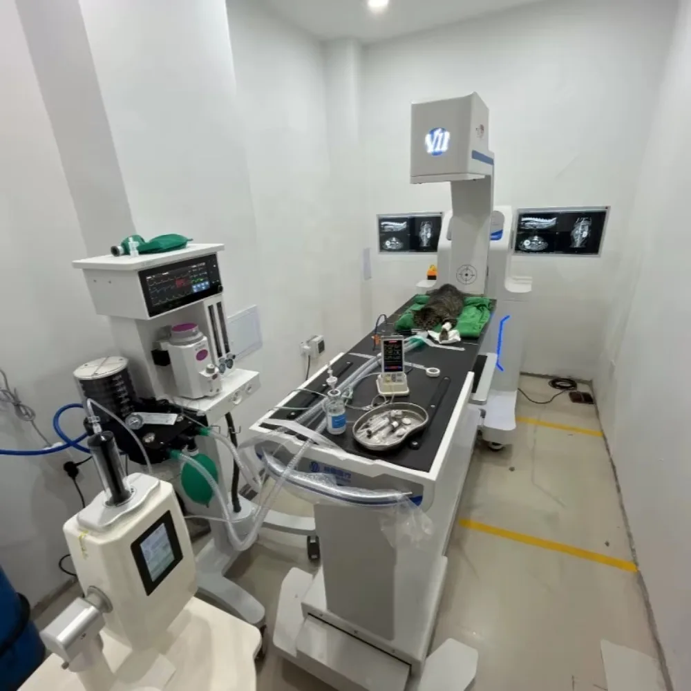 Compact veterinary cone-beam CT scanner for animal scanning equipment for examinations of cats and dogs in pet clinic