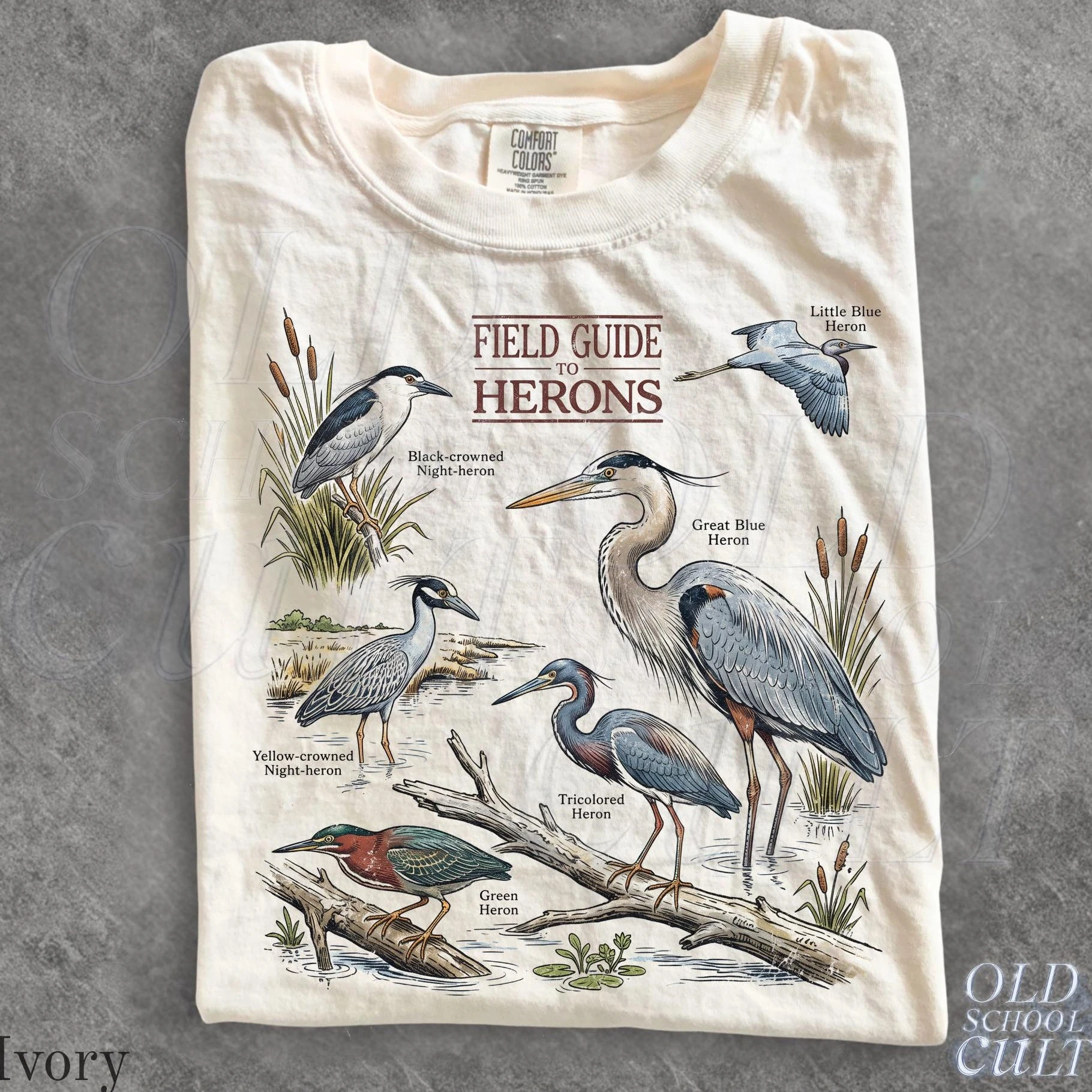 Field Guide Herons T Shirt, Ivory Birdwatching Graphic Tee, Wetland Birds Nature Shirt, Heron Lover Gift
