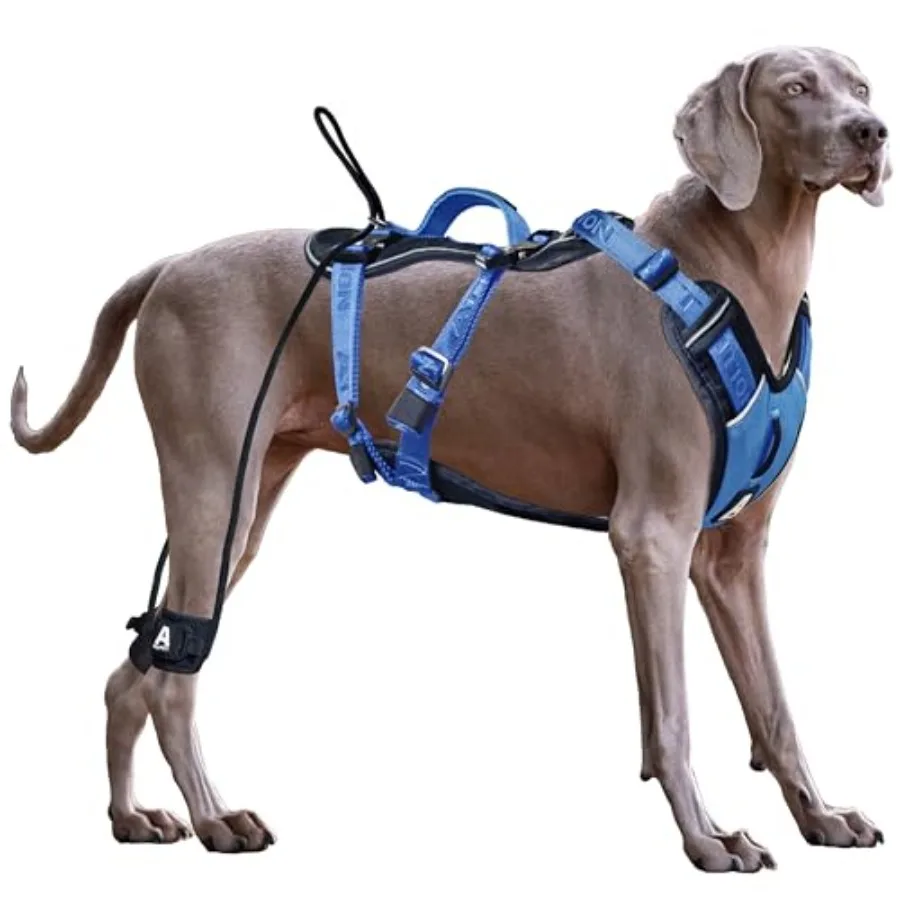 

No Pull Dog Harness for Large Dogs, Heavy Duty Tactical Dog Harness with Handle, Easy Control and Training Better Leash Manners