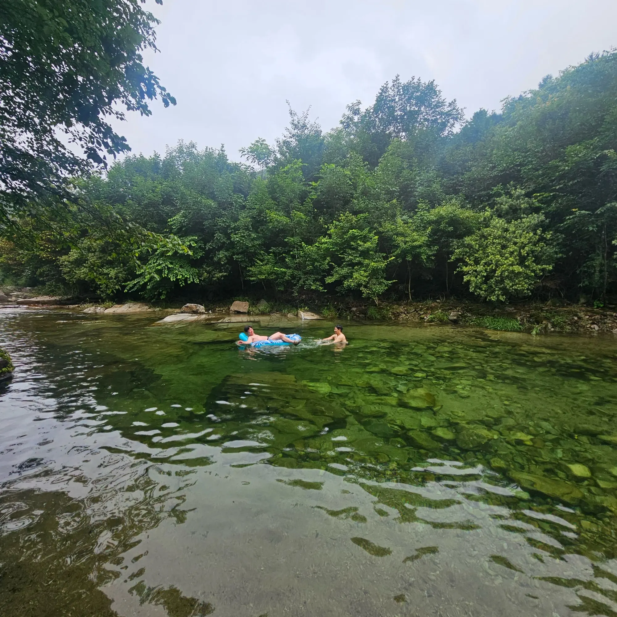 구매후기