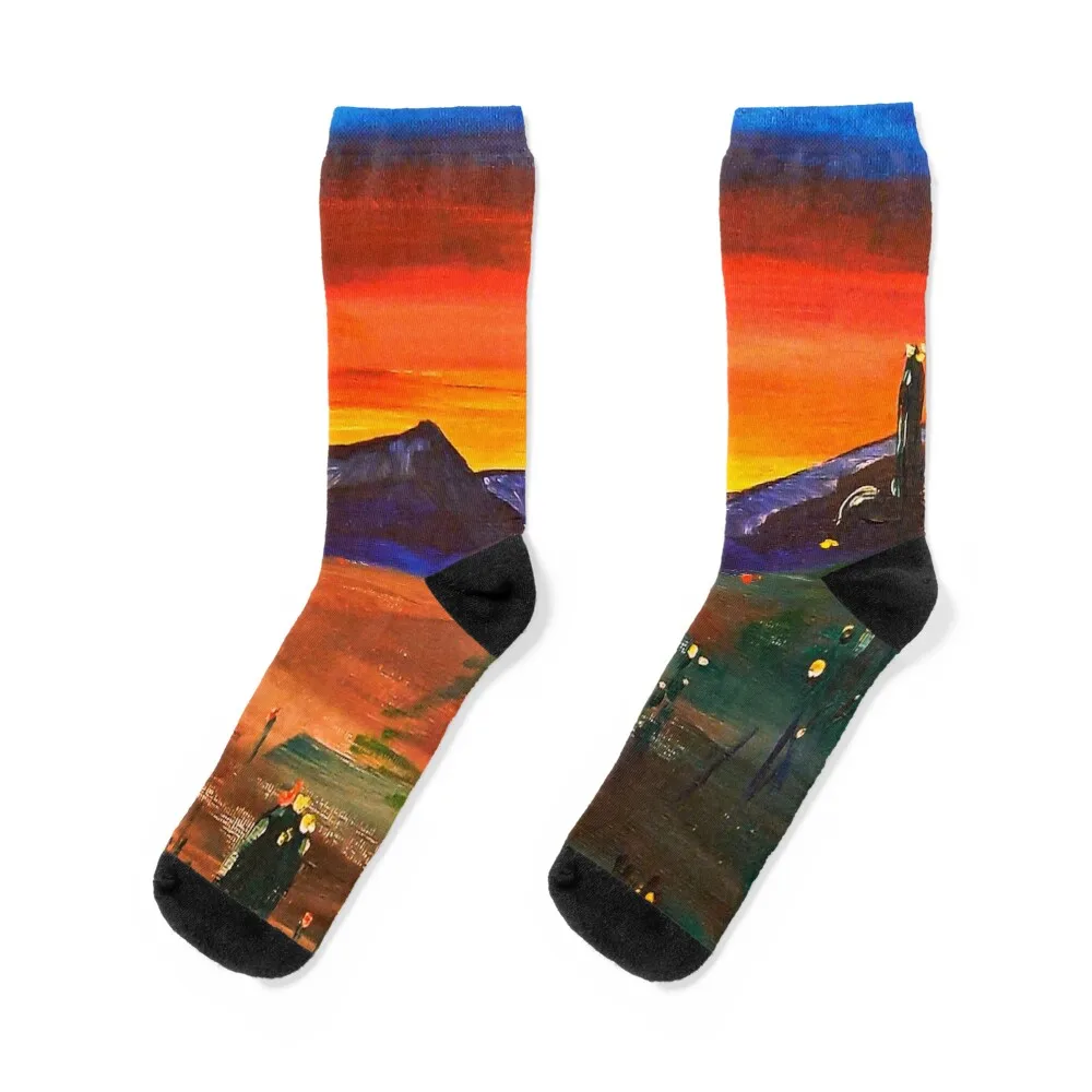 

sunset in the arizona desert Socks designer brand Lots Christmas christmas gifts Socks Man Women's