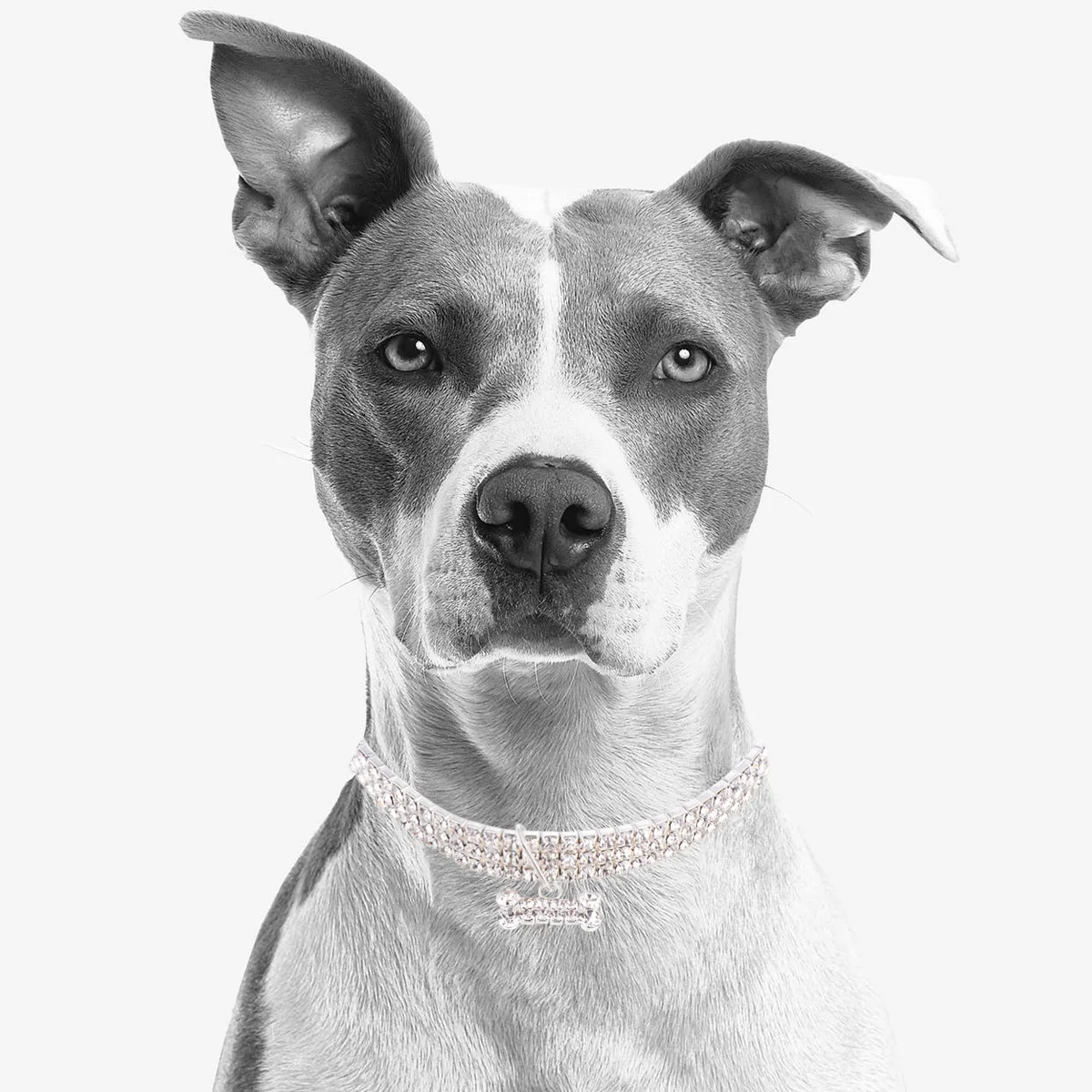 

Adjustable Rhinestone Pet Collar with Mini Bone Charm Shiny Dog Necklace for Small Medium Pets White L Fashionable Crystal