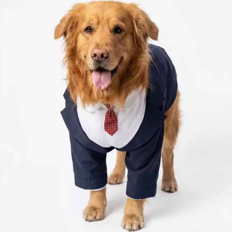 Abito da cerimonia per cani e smoking elegante per cani grandi_voghion.com