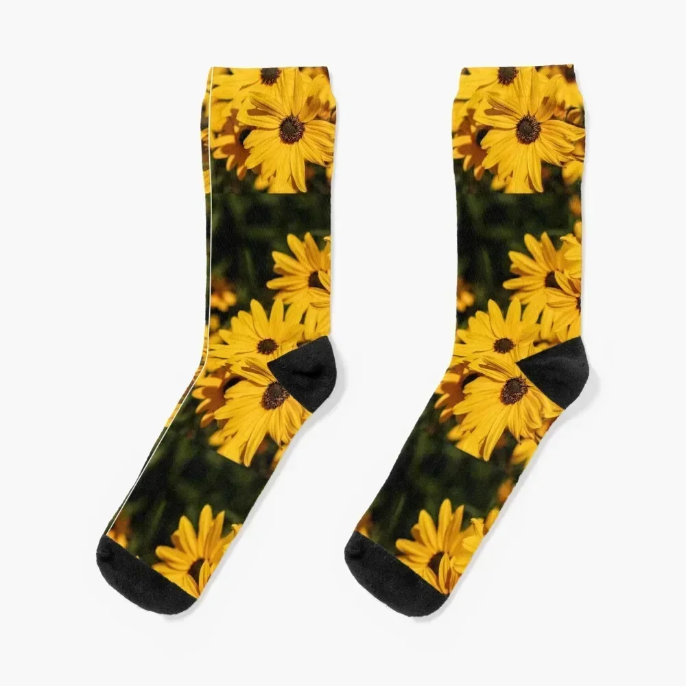 

beautiful Yellow Daisey flowers background Socks Stockings soccer anti-slip kids Socks Woman Men's