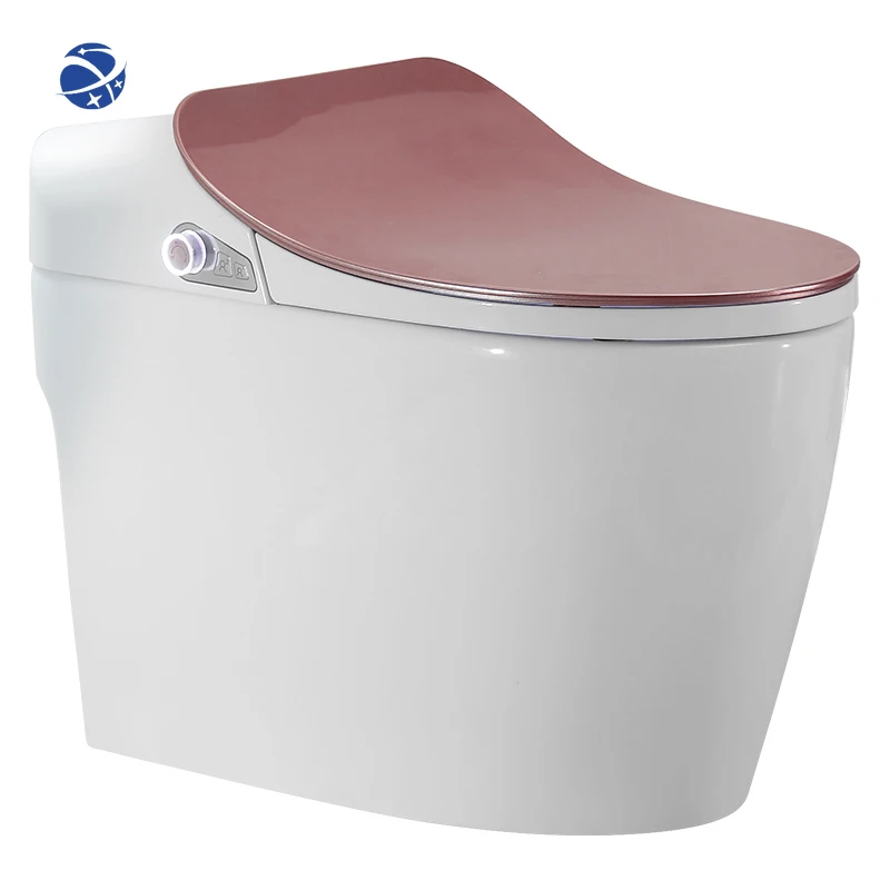 

YYHC Various colored 110v modern bathroom electric bidet sensor automatic flush intelligent smart wc toilet bowl with remove